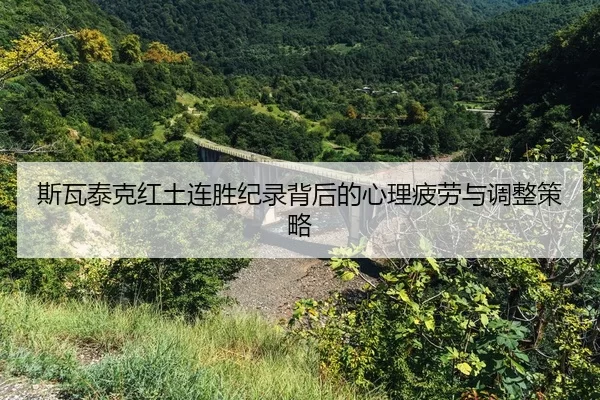 si-wa-tai-ke-hong-tu-lian-sheng-ji-lu-bei-hou-de-xin-li-pi-lao-yu-tiao-zheng-ce-lve-2-527.jpg