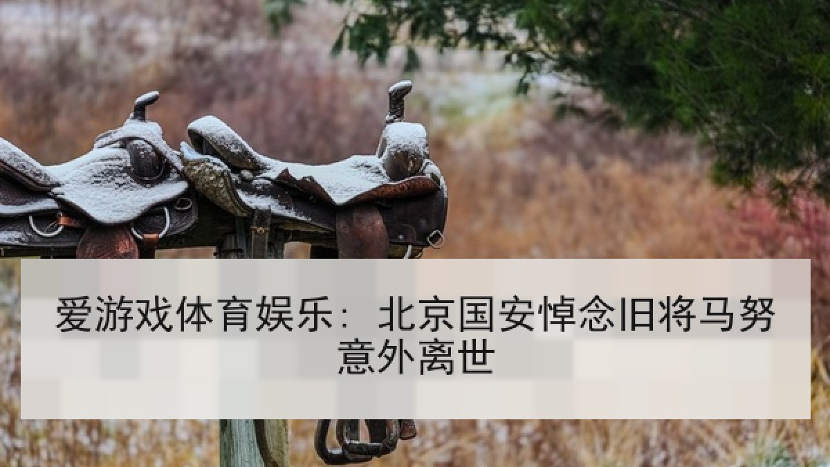 爱游戏体育娱乐: 北京国安悼念旧将马努意外离世