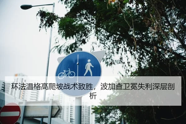 环法温格高爬坡战术致胜，波加查卫冕失利深层剖析