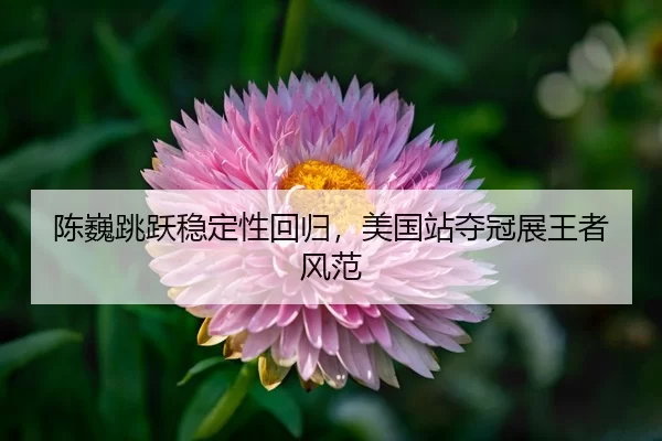 chen-wei-tiao-yue-wen-ding-xing-hui-gui-mei-guo-zhan-duo-guan-zhan-wang-zhe-feng-fan-3-706.jpg