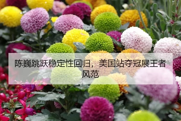 陈巍跳跃稳定性回归，美国站夺冠展王者风范