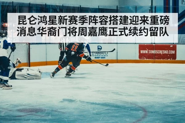 ice hockey match action